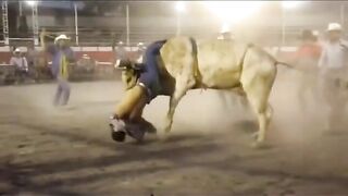 bull was extremely cruel to his victim