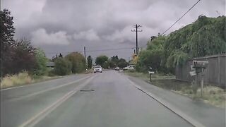 first rain of the summer on a curve leads to a boop