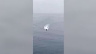 i dont wanna be a pirate