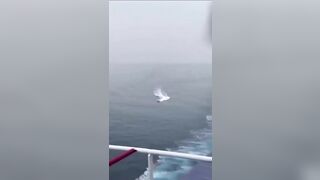 i dont wanna be a pirate