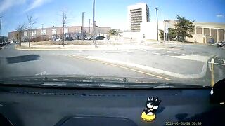 i guess stop signs are just optional