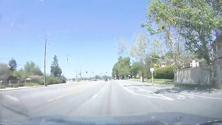 idiot failed to yield