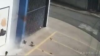 need for speeds leads to brains splattering all over the place