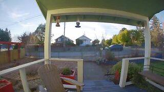 oc Failure to yield turned into attempted hit and run rIdiotsInC