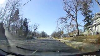 oc wrong signal wrong lane no clue - the makings of an idiot rId