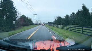 stop signs with white borders are optional