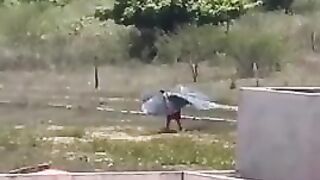 the will to reinvent the steel