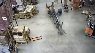 worker somehow manages to avoid being pancaked by his forklift