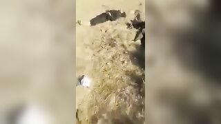 Machine Gun Execution In The Desert