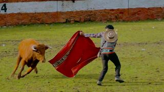Peruvian Man Felled By A Fast Bull