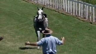 Run Over By Horse