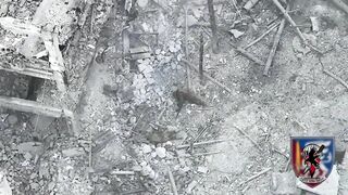 Ukrainian Drones Bury Occupiers