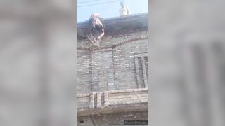 Worker Electrocuted