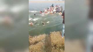 Boat Capsizes In Chambal River, 11 Dead