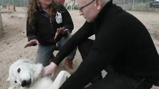 60 Minutes And Anderson Cooper Discover Wolves Are Homophobic