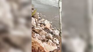 The Mutilated Body Of A Woman Floats On The Beach