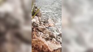 The Mutilated Body Of A Woman Floats On The Beach