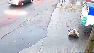 A Truck Hit A Pedestrian. Brazil 