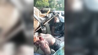 A Woman And A Man Were Killed In A Car Accident. Brazil 