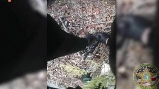 Alachua County Deputy Breaks Up Fight Between Eagle And Snake