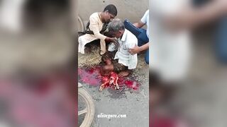 An Old Man Lost His Legs. India 