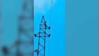 An Idiot Climbed Onto A High Voltage Beam And Touched It