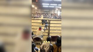 Bulls Painfully Demonstrate Equality For Female Wranglers - Vi