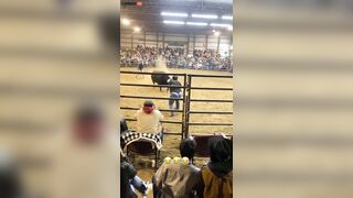 Bulls Painfully Demonstrate Equality For Female Wranglers - Vi