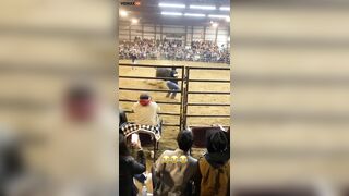 Bulls Painfully Demonstrate Equality For Female Wranglers - Vi