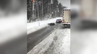 Car Hits Moose On Road, Throws It Into The Air And Gets Up