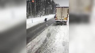 Car Hits Moose On Road, Throws It Into The Air And Gets Up