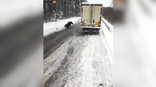 Car Hits Moose On Road, Throws It Into The Air And Gets Up