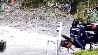 Cop Who Insulted Anti-maskers In Park Attacked By His K9, P