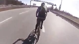 Cyclists Pay The Price Of Riding On The Road