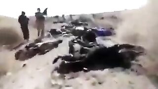 Refugees Dead In Idlib Refugee Camp, Former