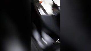 Detroit Bus Driver Suspended After Video Goes Viral