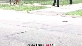 Dog Shot By Police!