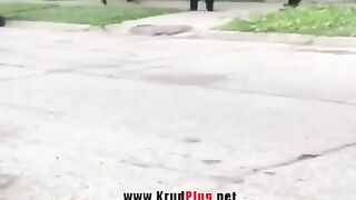 Dog Shot By Police!