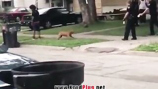 Dog Shot By Police!