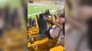 Drunk Woman Punches Man In Face, Her Husband At Steelers Game