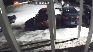 Guy Chooses Wrong Car To Steal - Video - VidMax
