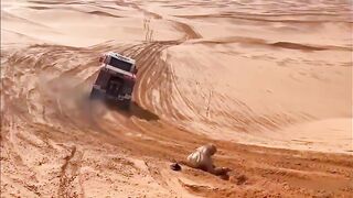 Older Dakar Rally Spectator Killed By Ra