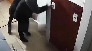 Grandfather Brutally Attacked And Robbed