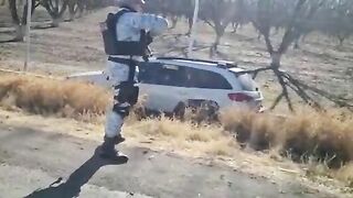 Graphic Video Of Mexican National Guard Shooting At Car