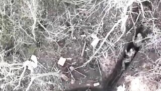 A Grenade Bounces Off The Helmet Of An RU Soldier In A Trench