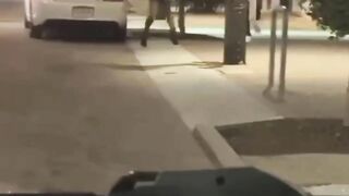 Man Knocked Unconscious By Passerby