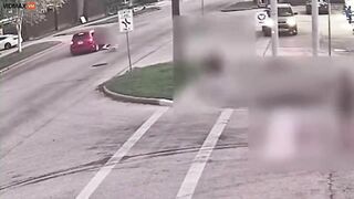 A Houston Woman And Her Dog Were Dragged Down The Street By Vinnie