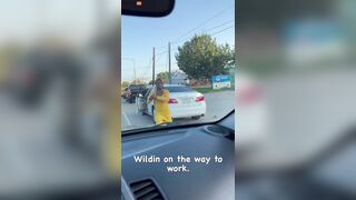 Crazy Woman Clearly Needs Anger Management After Highway Ra (1)