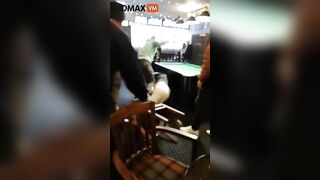 Wild Bar Brawl Turns Into Attempted Murder Charges - Video