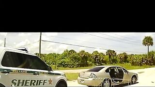 Lifelong Florida Thug With History Of Violence Attacks Police Officer